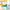 Moringa Kapsler Abonnement - 3 MND. Forbruk - Ekstra Potent Formel - 180 Kapsler 650mg