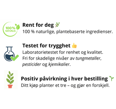 MINGA Detox Bombshell - 15 Unike Naturlige Ingredienser - MINGA