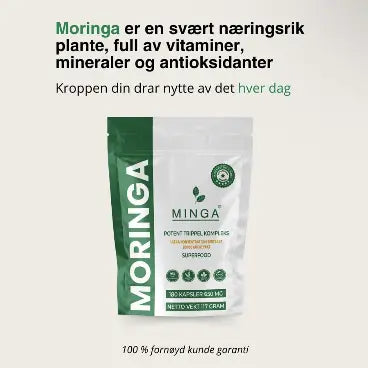 Moringa er en svært næringsrik plante